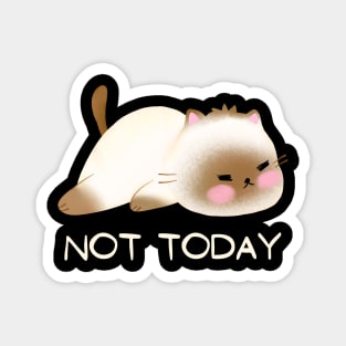 Lazy Cat Nope not Today funny sarcastic messages sayings and quotes Magnet