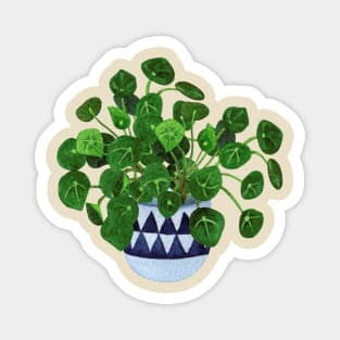 Pilea Peperomioides Magnet