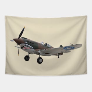 P-40C (back print) Tapestry