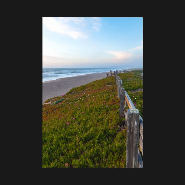 Point Reyes Beach by jvnimages