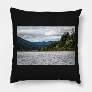 View of Eel River Pillow