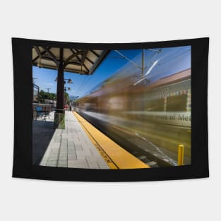 Azusa Downtown Metro Station Tapestry