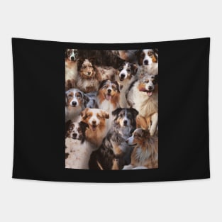 Australian Shepherds Tapestry