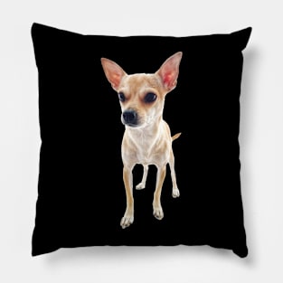 Cute Chihuahua Doggo Pillow