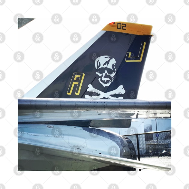 F-14 VF-84 Jolly Roger Tail by acefox1