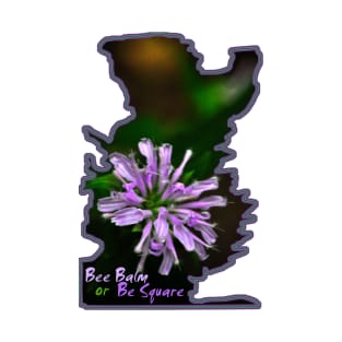 Bee Balm or Be Square T-Shirt