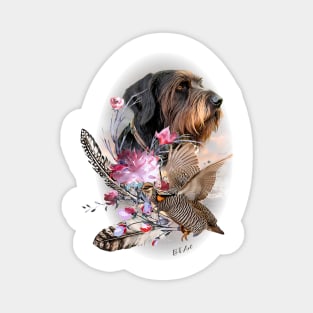 German Wirehaired Pointer hunting woodcock Magnet