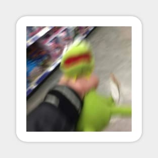 kermit Magnet