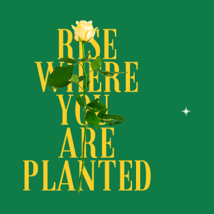 Rise Where You Are Planted T-Shirt