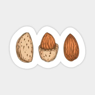 Almond Magnet