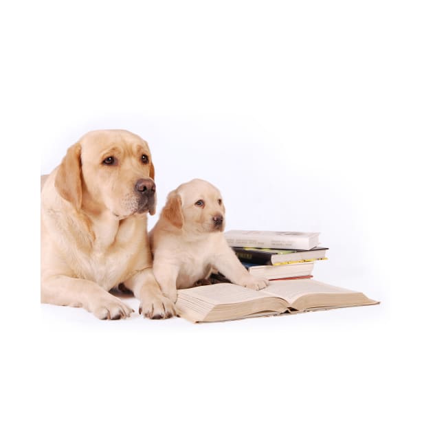 Labrador puppy with his mother and books by PetsArt