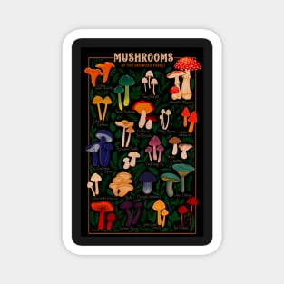 Mushrooms of the Redwood Forest Magnet