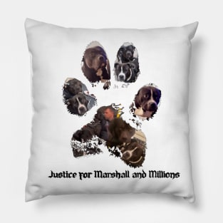 For Marshall and Millions Pillow