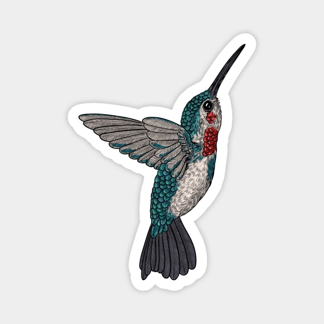 Hummingbird Magnet by katerinamk