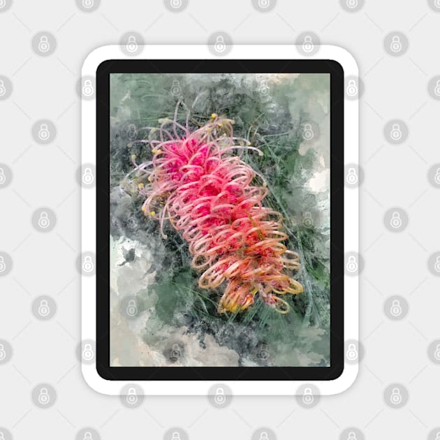 Exotic Flowers Australia - Australian Grevillea Flower Magnet by Custom Autos