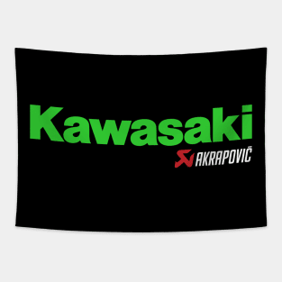 Kawasaki Akrapovic Tapestry