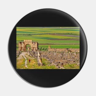 Triumphal Arch & Town, Volubilis Pin