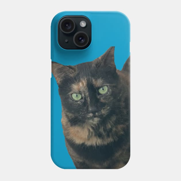 Tortie Closeup Phone Case by Amanda1775