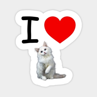 I HEART WHITE FLUFFY PERSIAN KITTEN Magnet