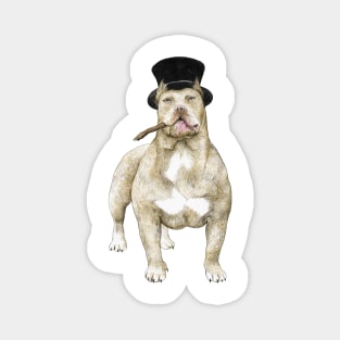 Sir pitbull Magnet