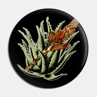 Aloe Vera Plant Botanical Print Pin