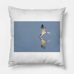 Common Tern Drinking Pillow