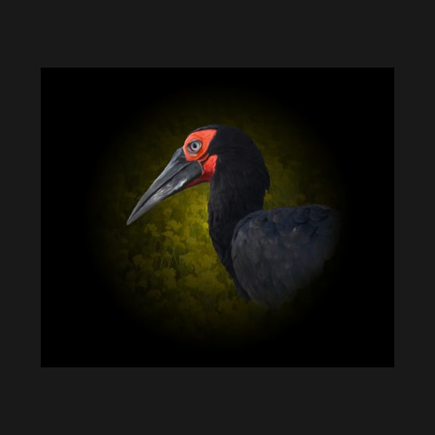 Ground hornbill by Guardi