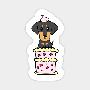 Dachshund dog Jumping out of a cake Magnet