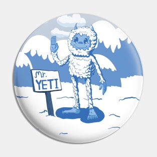 MR. YETI Pin