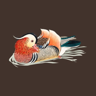 Mandarin duck Vintage Illustration Chinese, Japan wood duck, beautiful bird oshidori fūfu T-Shirt