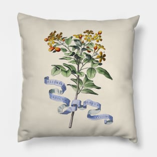 Antique Flower Botanical Illustration Pillow