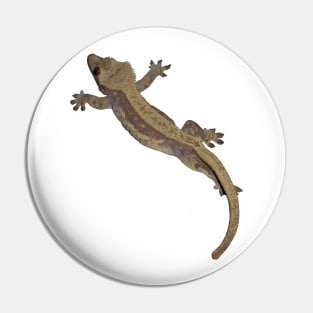 crested gecko Pin