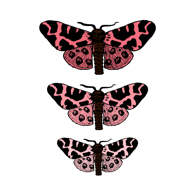 Cute Moths by LunaMay