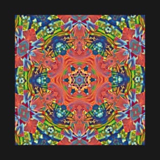 kaleidoscope 2.0 T-Shirt