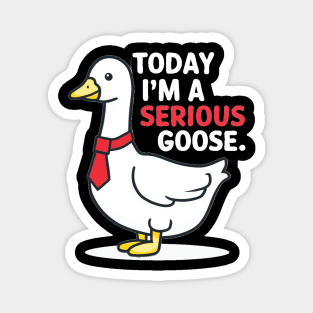 today i'm a serious goose Magnet