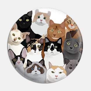 Cat Portrait For Cat Lovers Pin