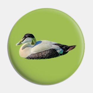 Eider duck Pin