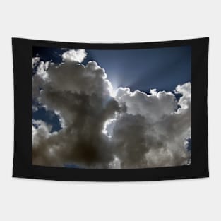 Sun rays Tapestry