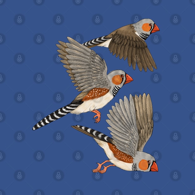 Zebra Finches Flight by Marta Tesoro