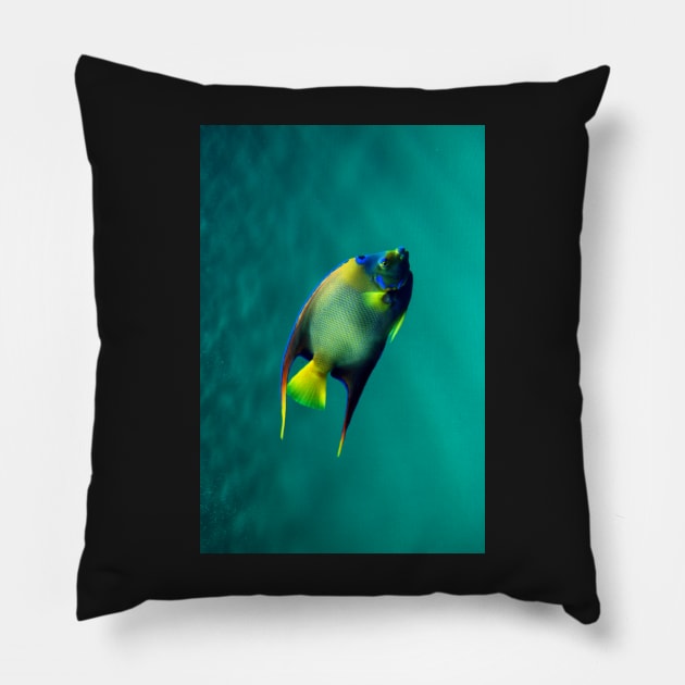 Mr Multicoloured Pillow by WaterGardens