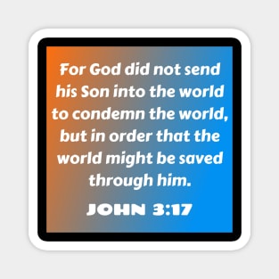 Bible Verse John 3:17 Magnet