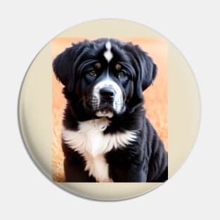 Tibetan Mastiff Puppy 06 Pin