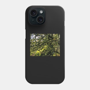 Wistman's Wood Phone Case