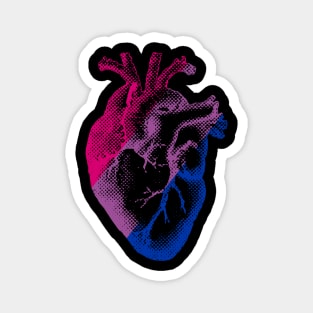 Bisexual Heart Magnet