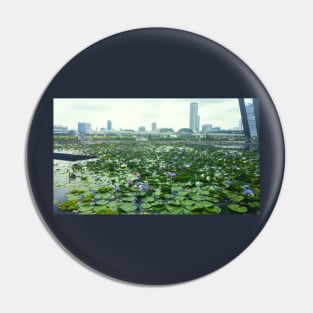 Lotus pond in the city Pin