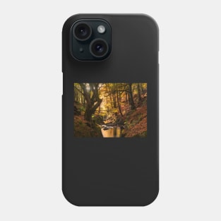 Wicklow in Autumn Phone Case