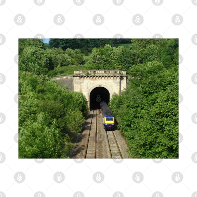 Box Tunnel, Wiltshire by Chris Petty