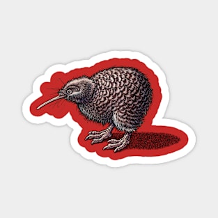 Kiwi Bird (New Zealand) Magnet