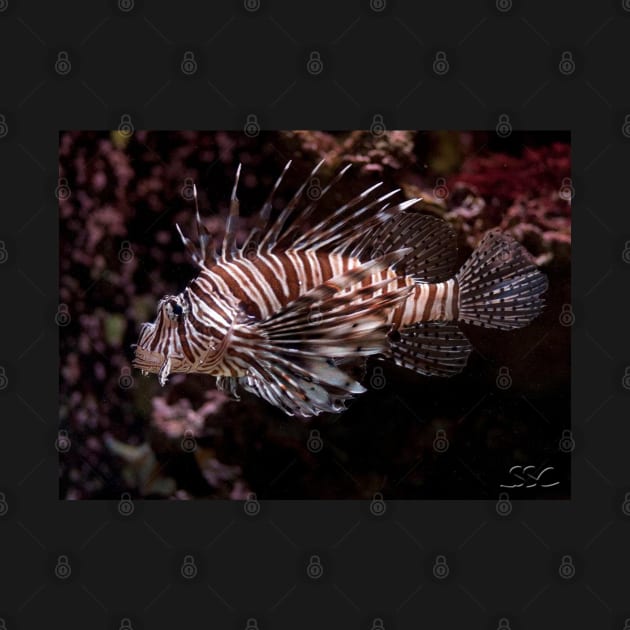 Lionfish by SpectreSparkC