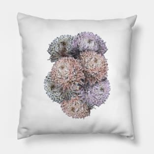 Blumen Pillow